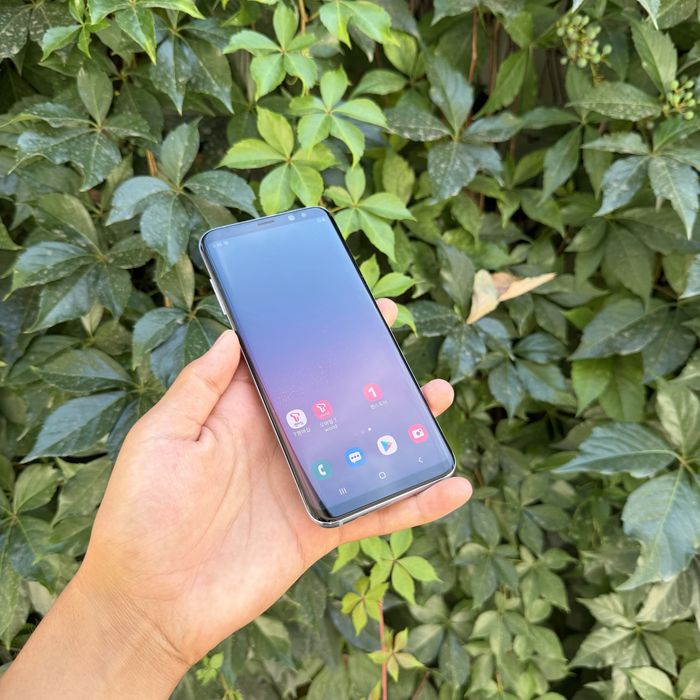 Samsung Galaxy S8+