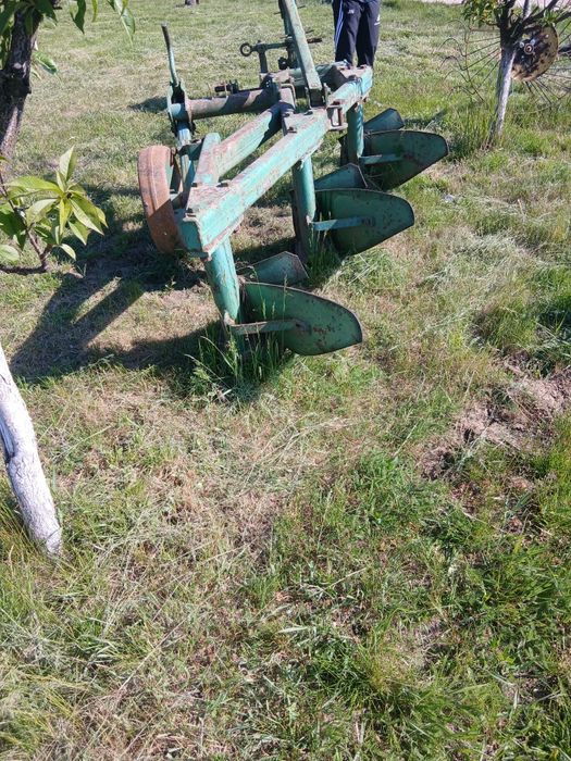 Plug Unia polonez