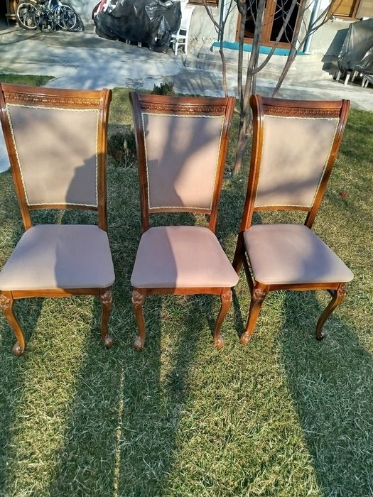 24/7 Prokat stol stul проект стол стул навес Аренда