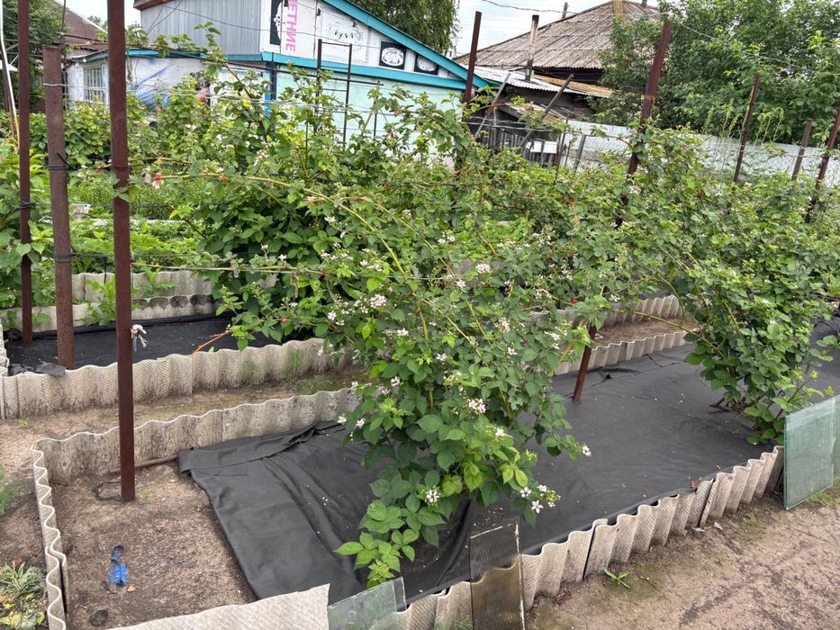 Продам уютный дом в тихом месте