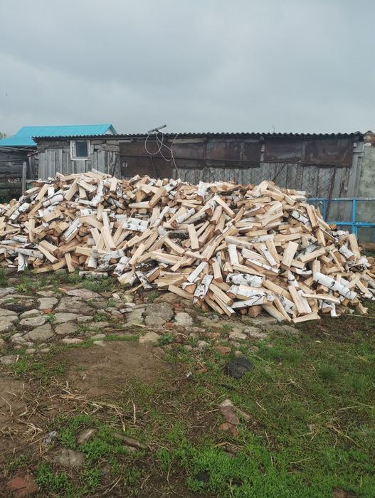 Дрова береза колытые