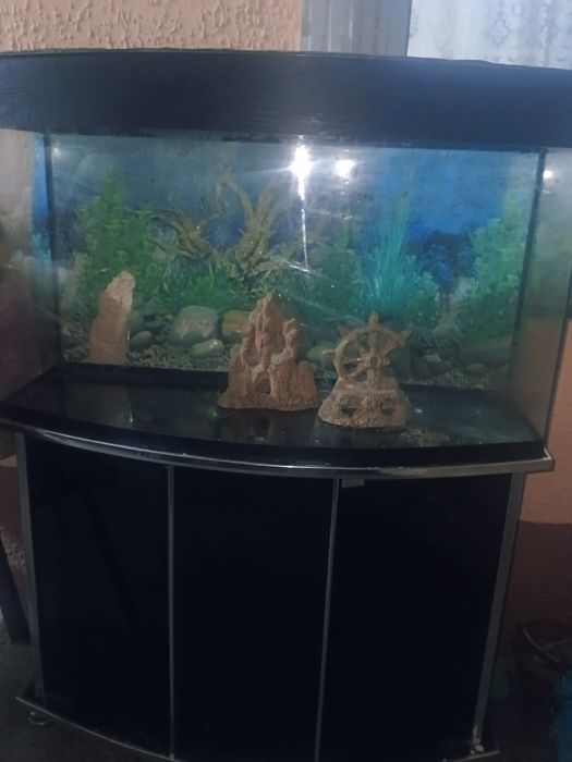 Аквариум для рыб