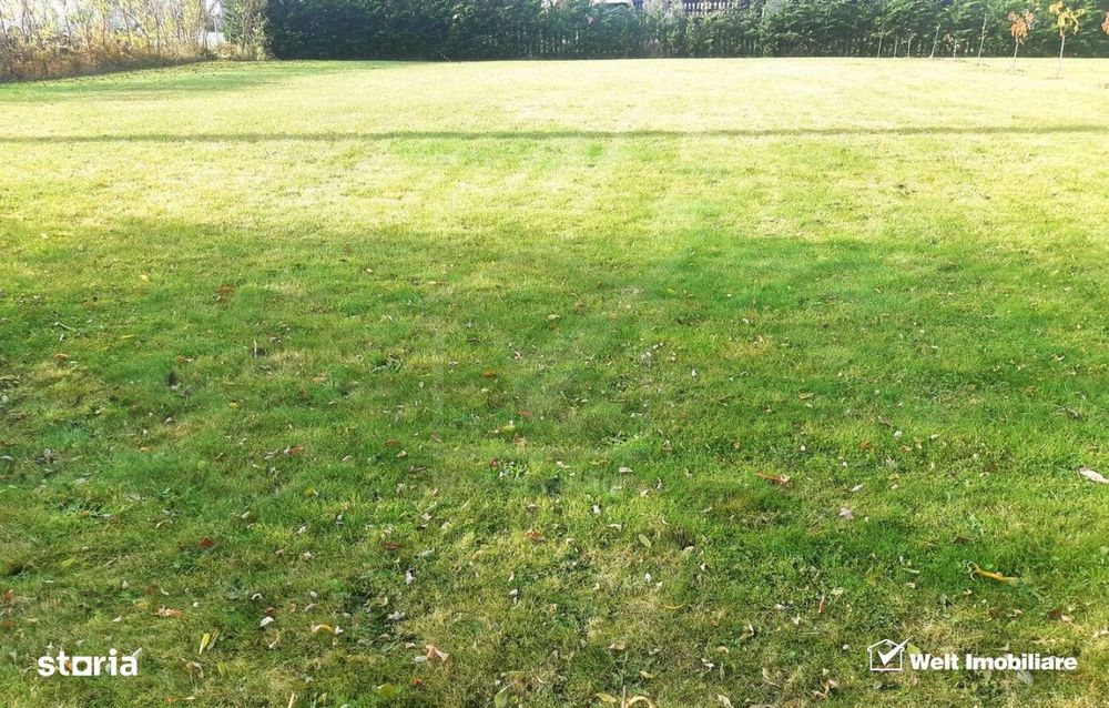 Teren intravilan, Front 31m,  Salicea