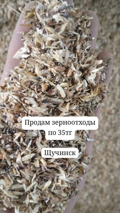 Зерноотходы! Зерновой чат!