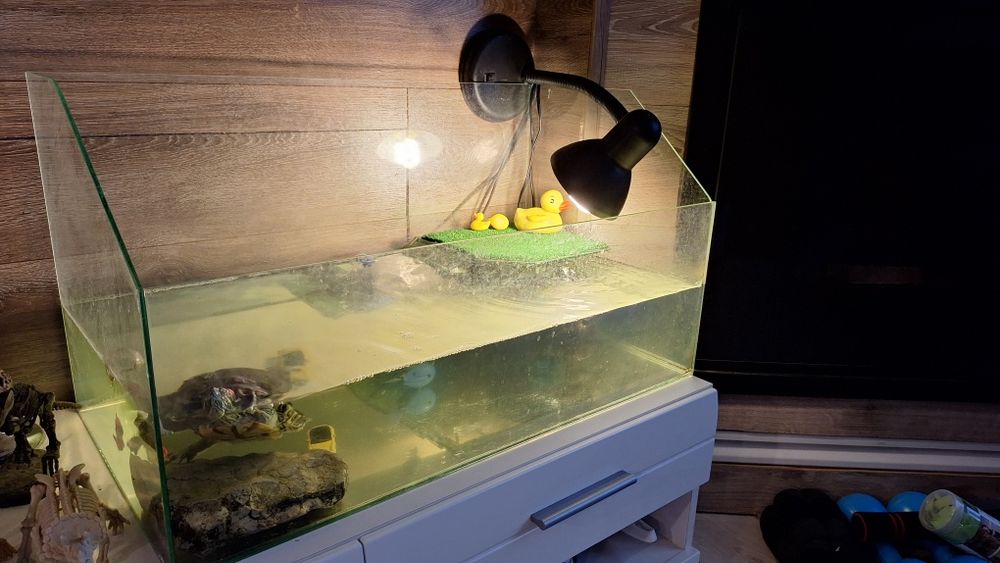 Терариум за костенурки/влечуги