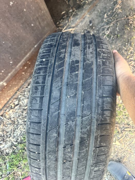 шины летние nexen