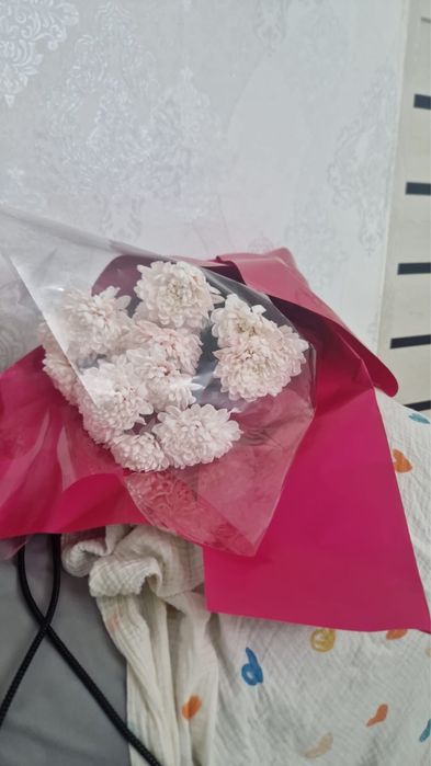 Гүлдер сатылады бүгінгі екеуі 10 мың