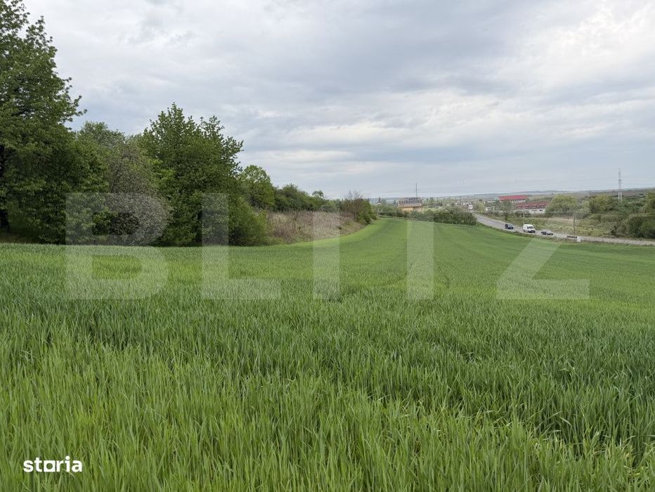 Teren intravilan in localitatea Bobota in suprafata de 12500 mp