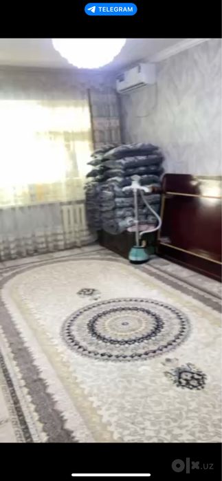 Kvartiraga qizla qoyamiz zauchniy oqiydiganlani