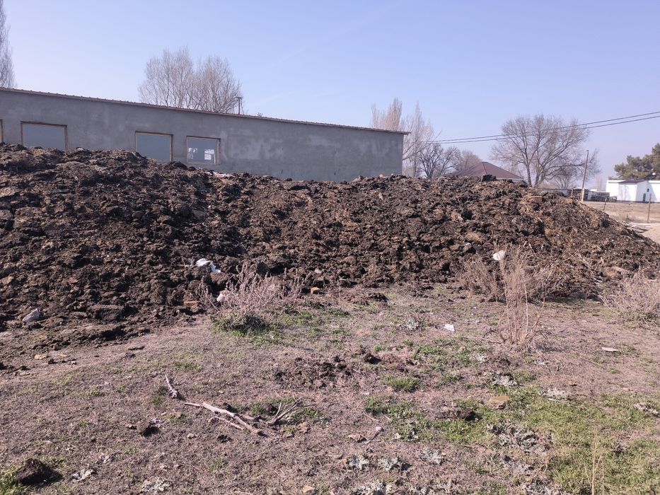 Перегной  навоз многолетний