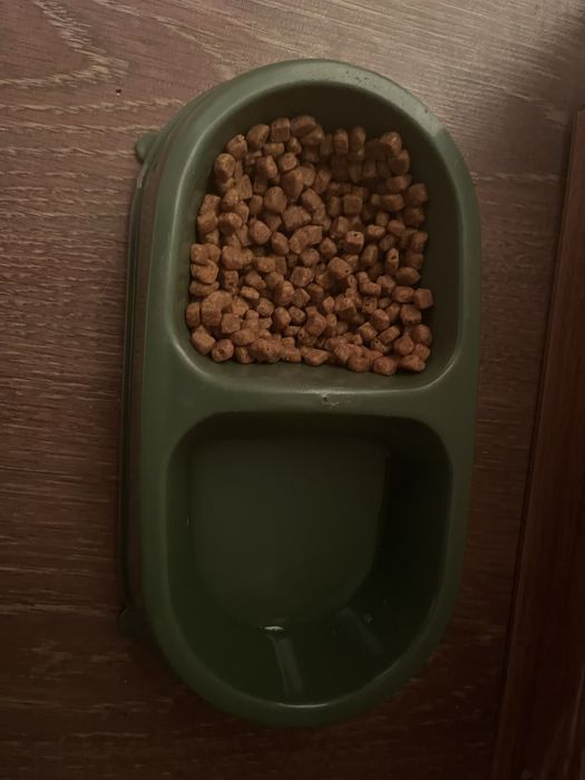 Мысық сатылады, заттарымен бірге