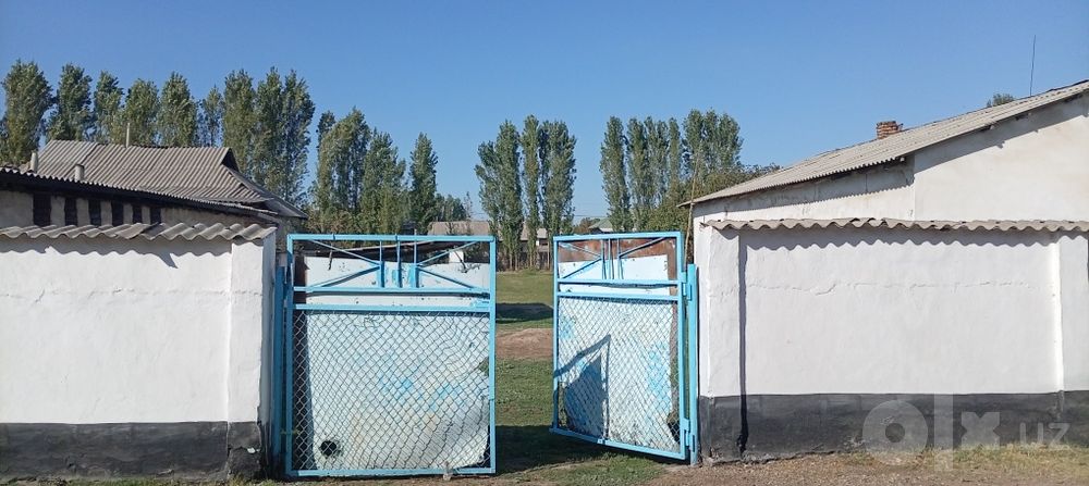 Срочна курик йер сотилади