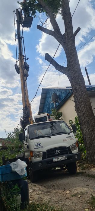 Спил деревьев обрезка плодовых