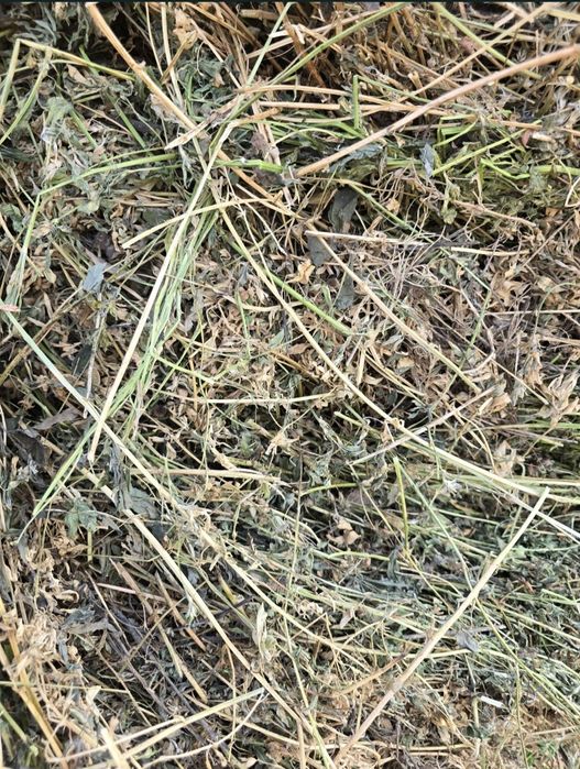 Vând baloți lucernă