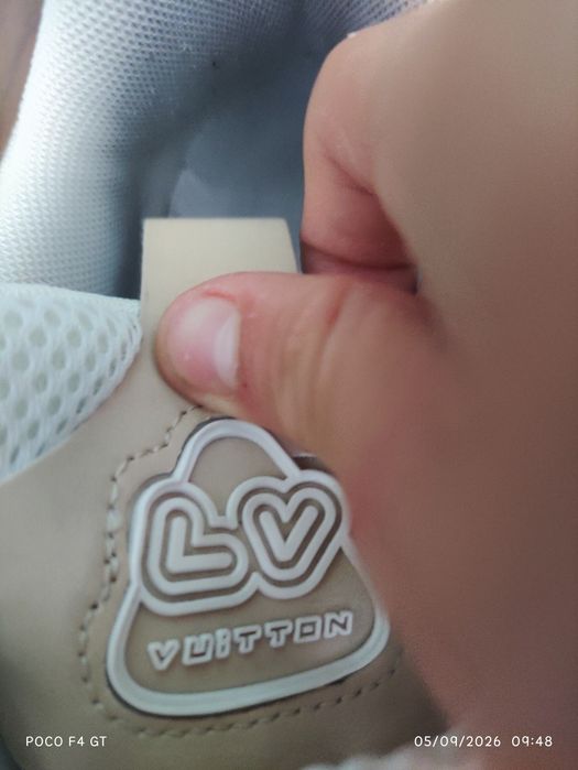 Louis Vuitton Skate