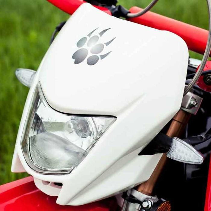 Мотоцикл Irbis TTR250R