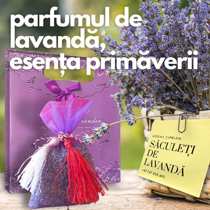 Saculeti floare lavanda.