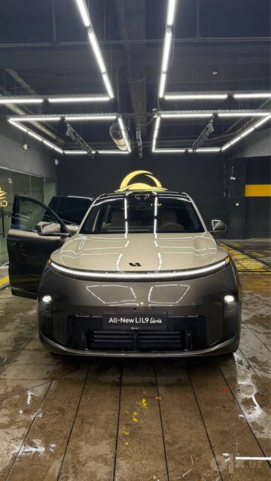 Новый Liauto Livis L9