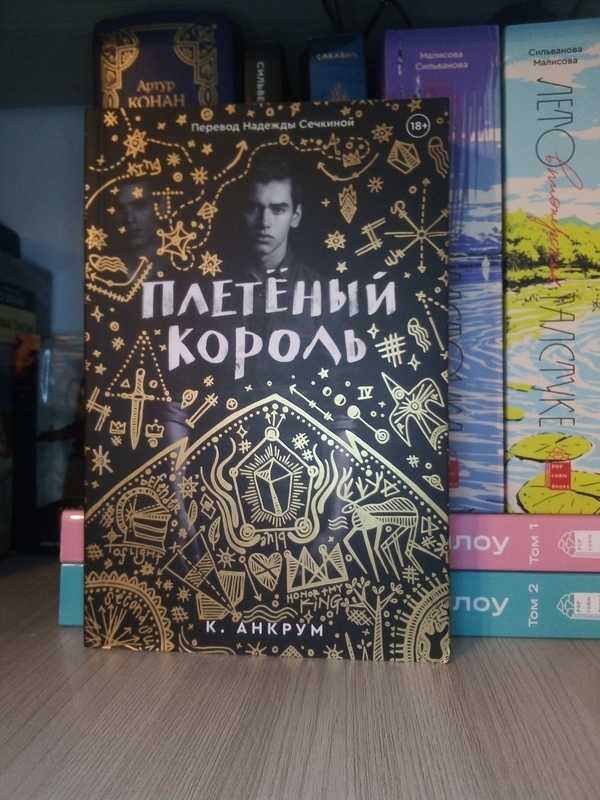 Плетеный король читать. Плетеный Король. Плетеный Король книга. Книга плетеный Король читать.