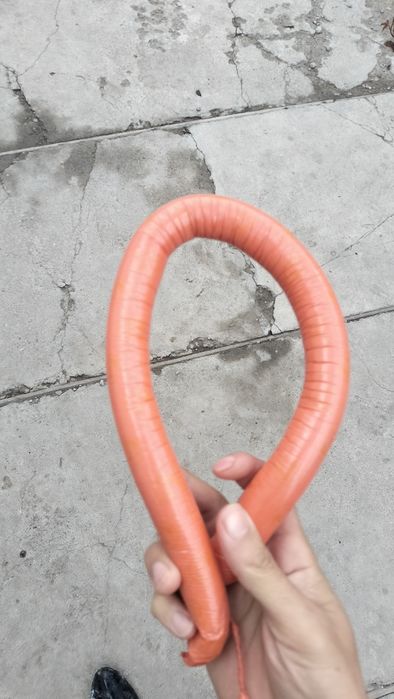 Колбаса для собак