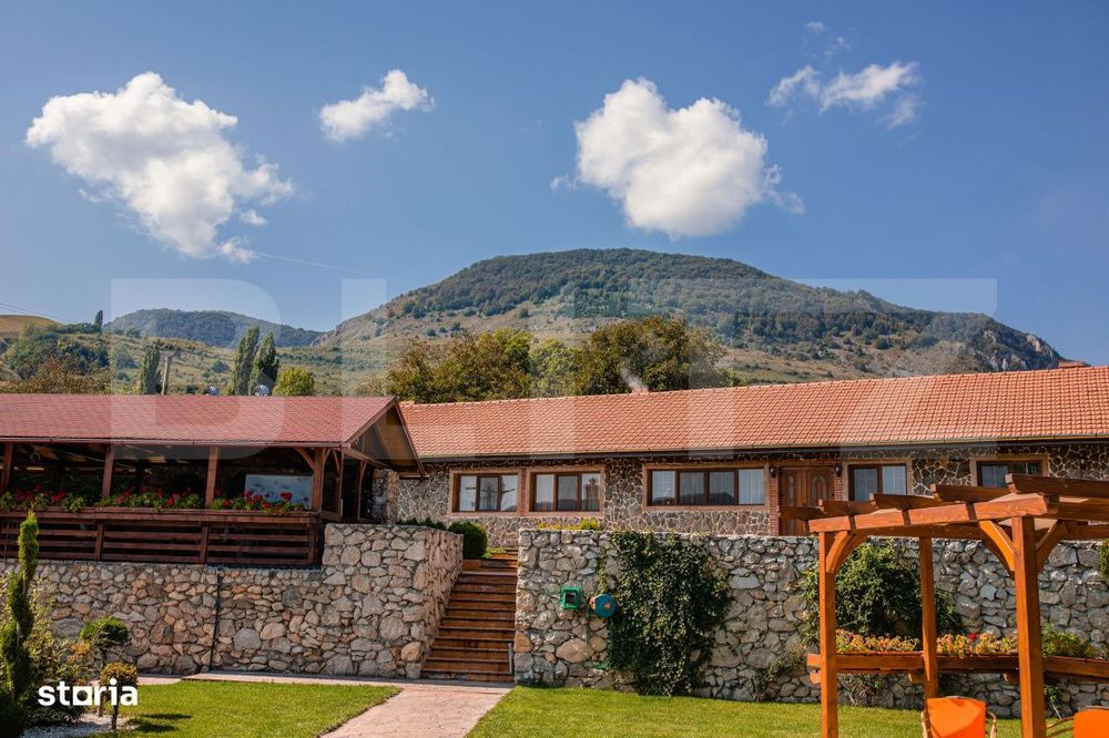 Pensiune cu piscina si teren de 3.000 mp | Zona turistica Livezile –