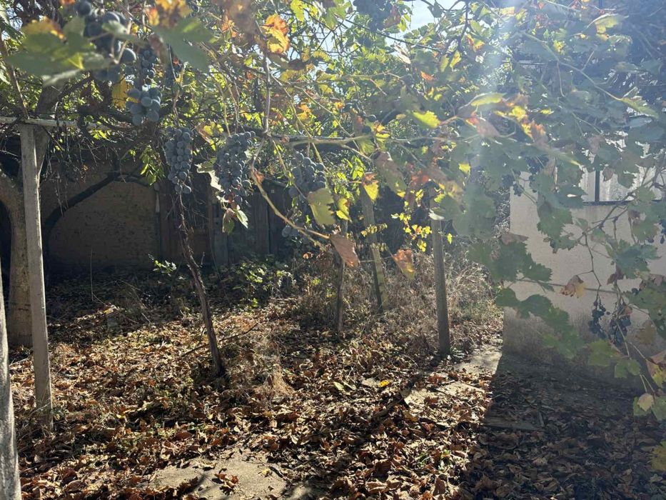 Продава се Къща в с. Искра, Област Пловдив - 77 кв.м за 494 €/кв.м - Снимка #5