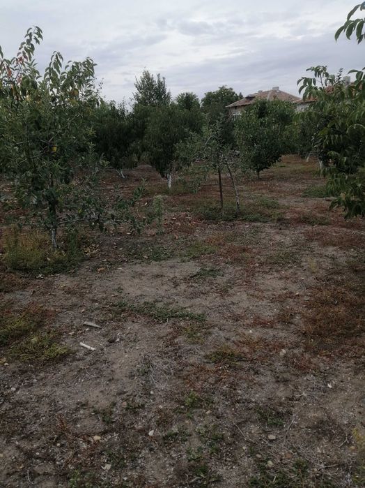 Продава се Къща в Асеновград - 130 кв.м за 693 €/кв.м - Снимка #3