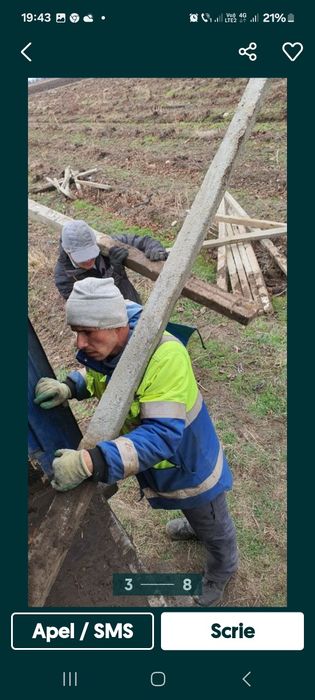 Motanu vinde stâlpi (șpalieri]