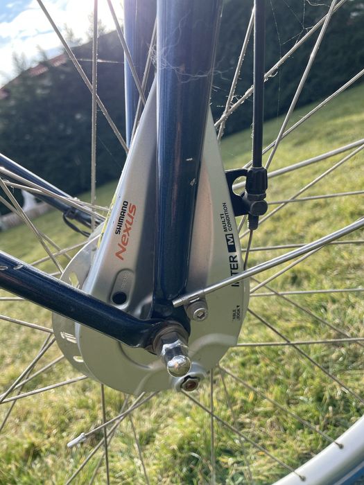 Bicicleta dama, oras