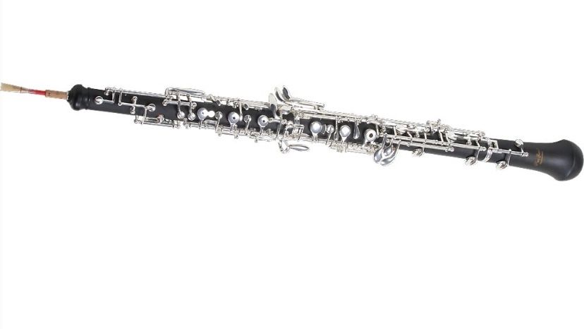 Instrument muzical oboe  NOU