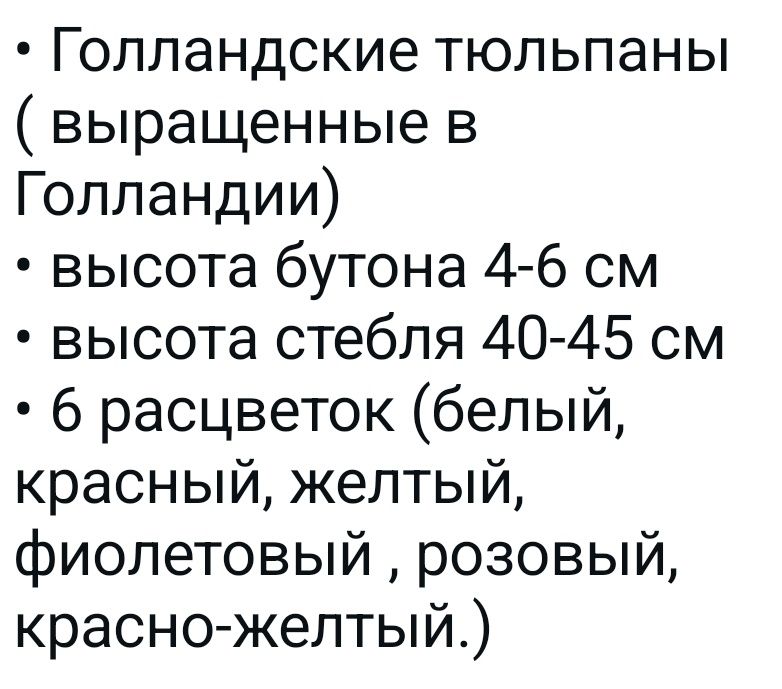 Цветы тюльпаны..