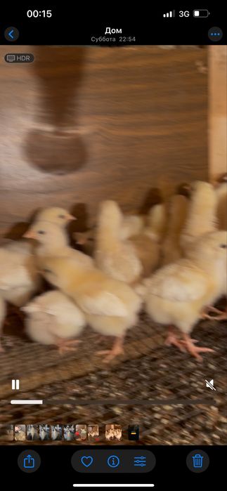 Адлер бплапаны сатылады