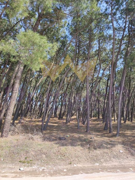 Парцел в Варна, област-м-т Боровец площ 1745 цена 109000