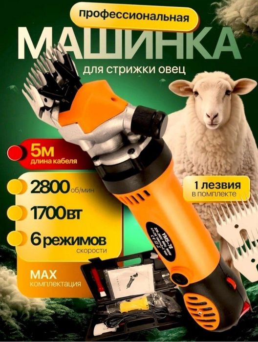Кой  юнги  оладиган  мошинка