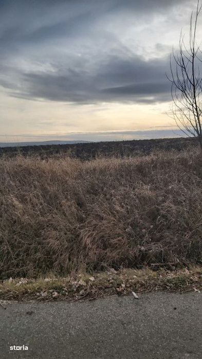 Teren extravilan Tureni 2000mp