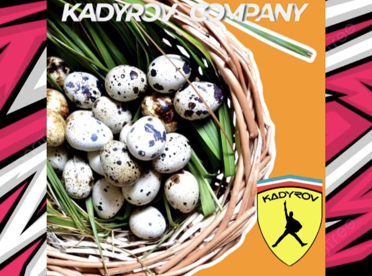 Оптом перепелиные яйца — вкусно, полезно и всегда свежо!