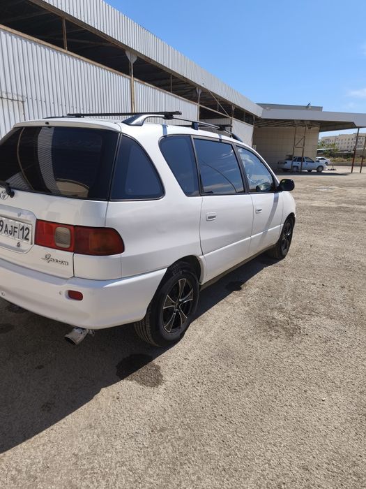 Продам Ипсум автомат