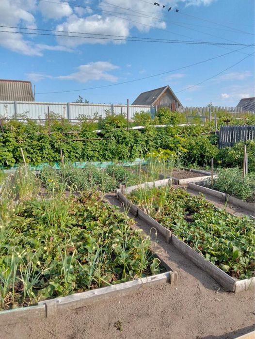 Продам ухоженную дачу