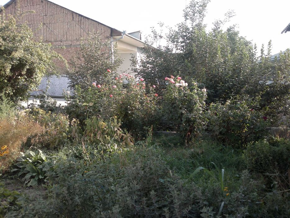 Продаётся большой дом с участком 8 соток в центре г.Янгиюль