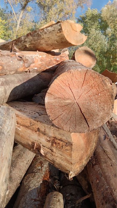 Vand lemne brad uscate si fag/transport inclus!