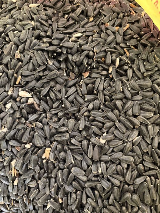 Продам семечки. 300 тг кг.