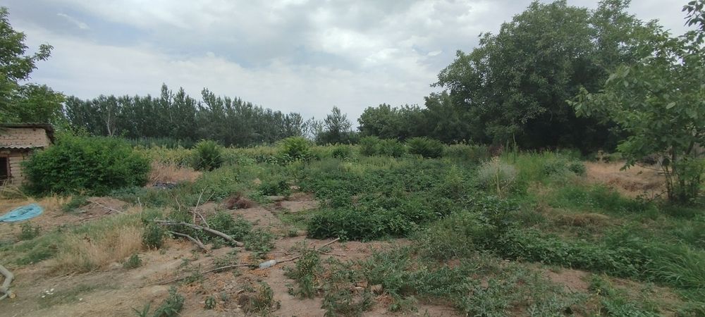 Букв МФЙ Қалғанср кочаси