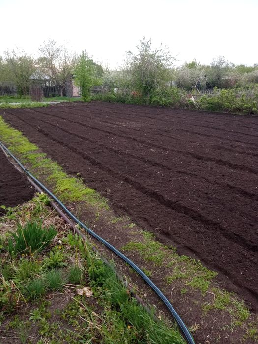 Продам дачу сады 1