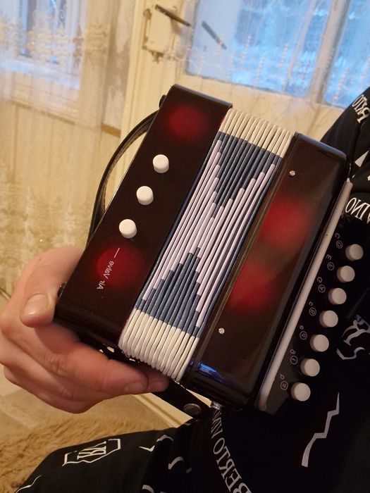 Acordeon mic air valve