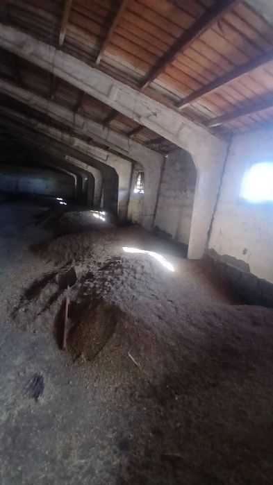 Бидайдың  және лень атходы сатылады