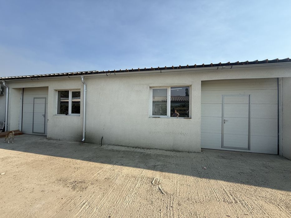 Hala zona tomesti 445 mp