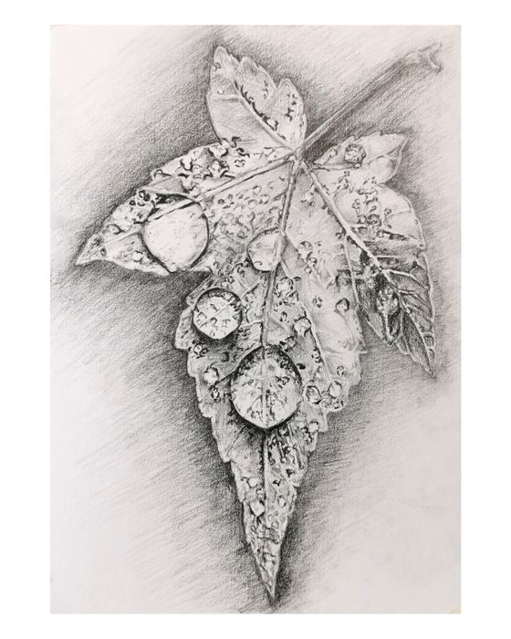 Cursuri de pictura și desen "Step by Step"