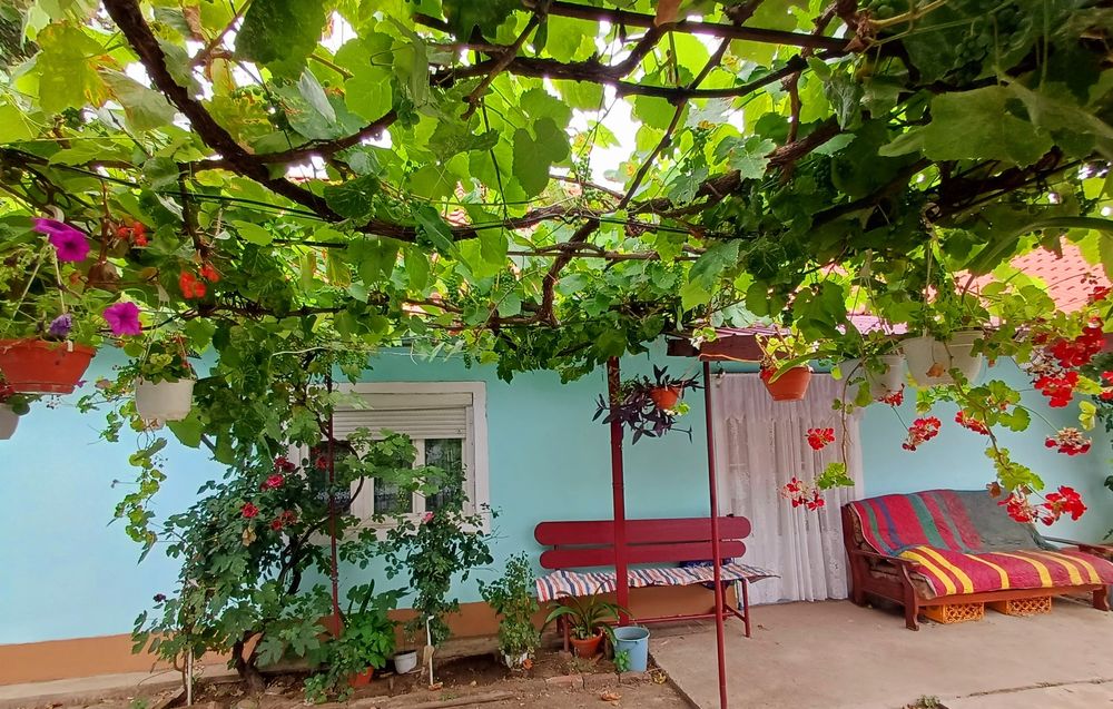 Casă în orașul Chișineu Cris