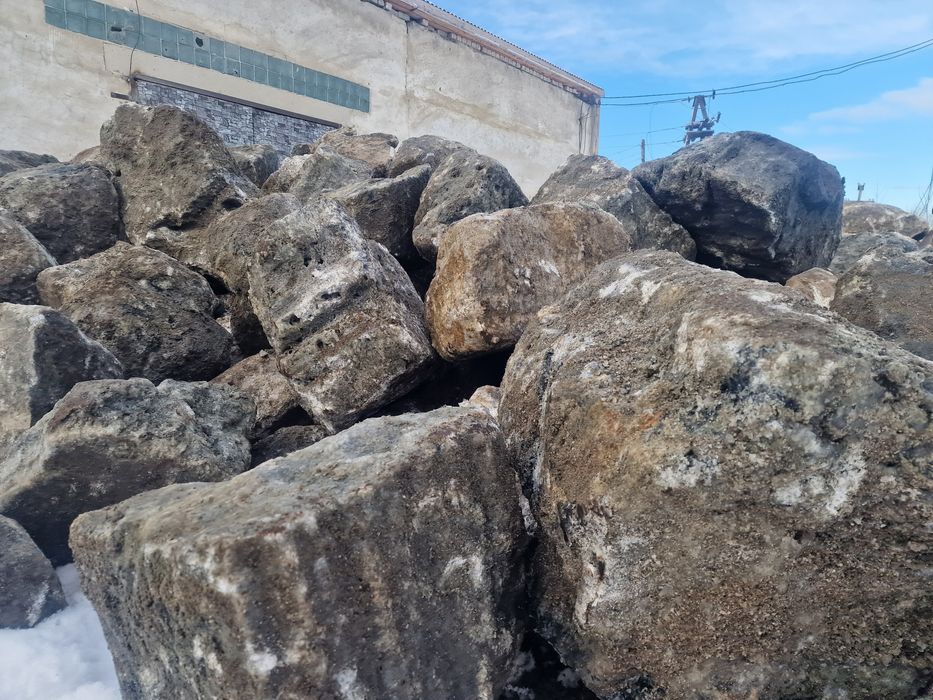 Туз.бидай.жмых.тартылған бидай