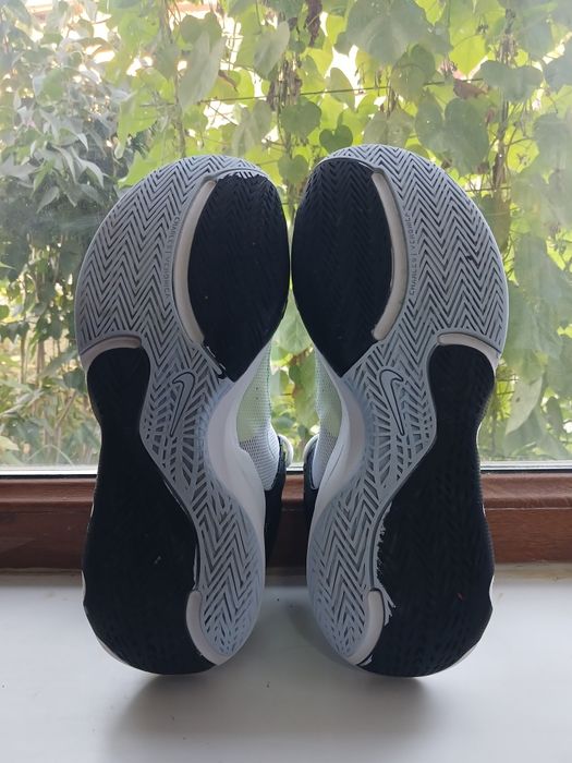 Спортивные кроссовки Nike Giannis immortality 2